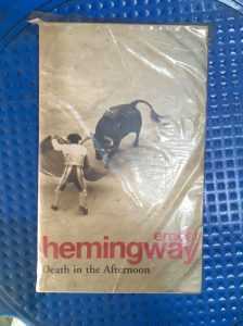 Death in the Afternoon