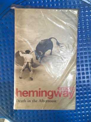 Death in the Afternoon