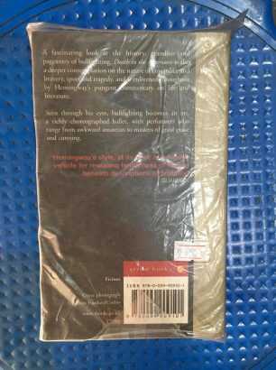 Death in the Afternoon