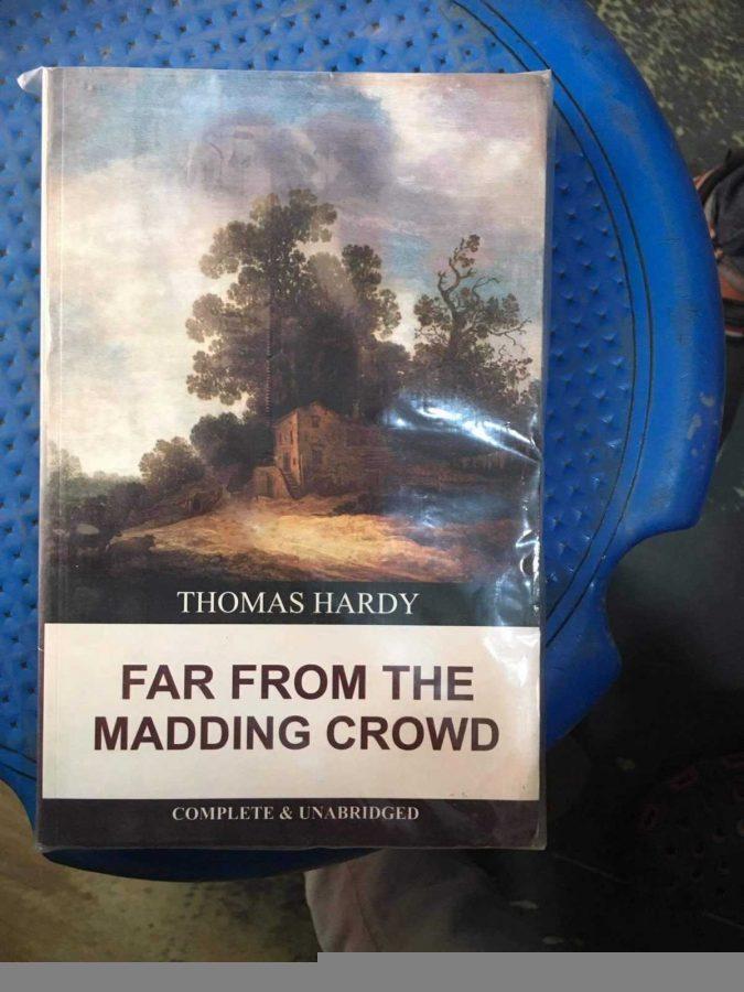 FAR FROM THE MADDING CROWD