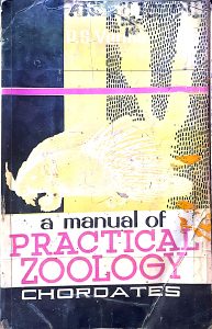 A manual of Practical zoology – Cordates