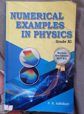physics numerical book class 11 pb adhikari