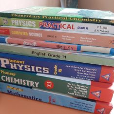 class 11 books