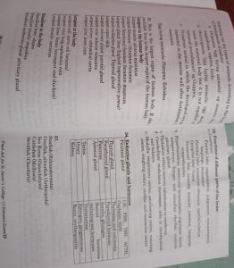 Final Aid 2022(St. Xavier’s College)