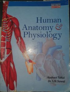 Huamn Anatomy and physiology