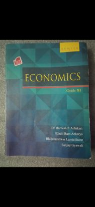 Economics Grade XI