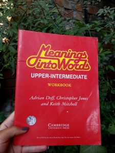 Meaning into Words Upper Inter Workbook