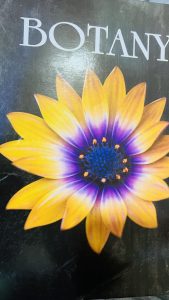 Botany and zoology CEE , name book