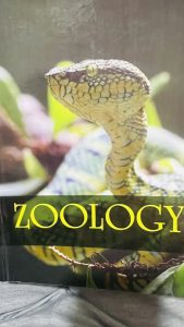 All CEE book Name