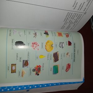 international dictionary book