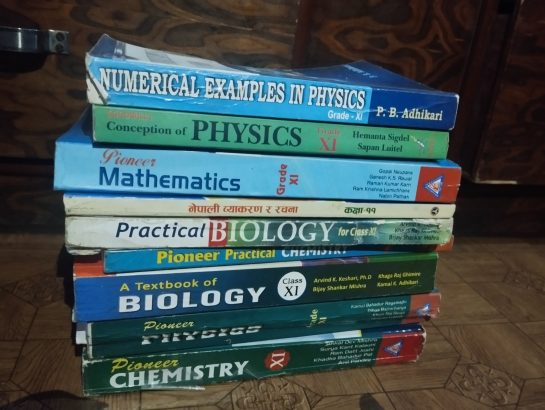 class 11 computer science book