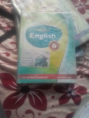 English book grade 6