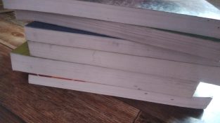 BBS 2ND YEAR ALL SET OF 6 BOOKS