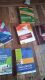 BBS 2ND YEAR ALL SET OF 6 BOOKS