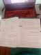 Pure Mathematics 1 Coursebook