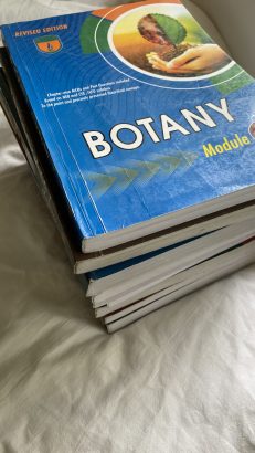 CEE Vibrant entrance books