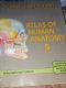 Atlas of human anatomy