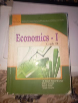ECONOMICS (Grade 11)
